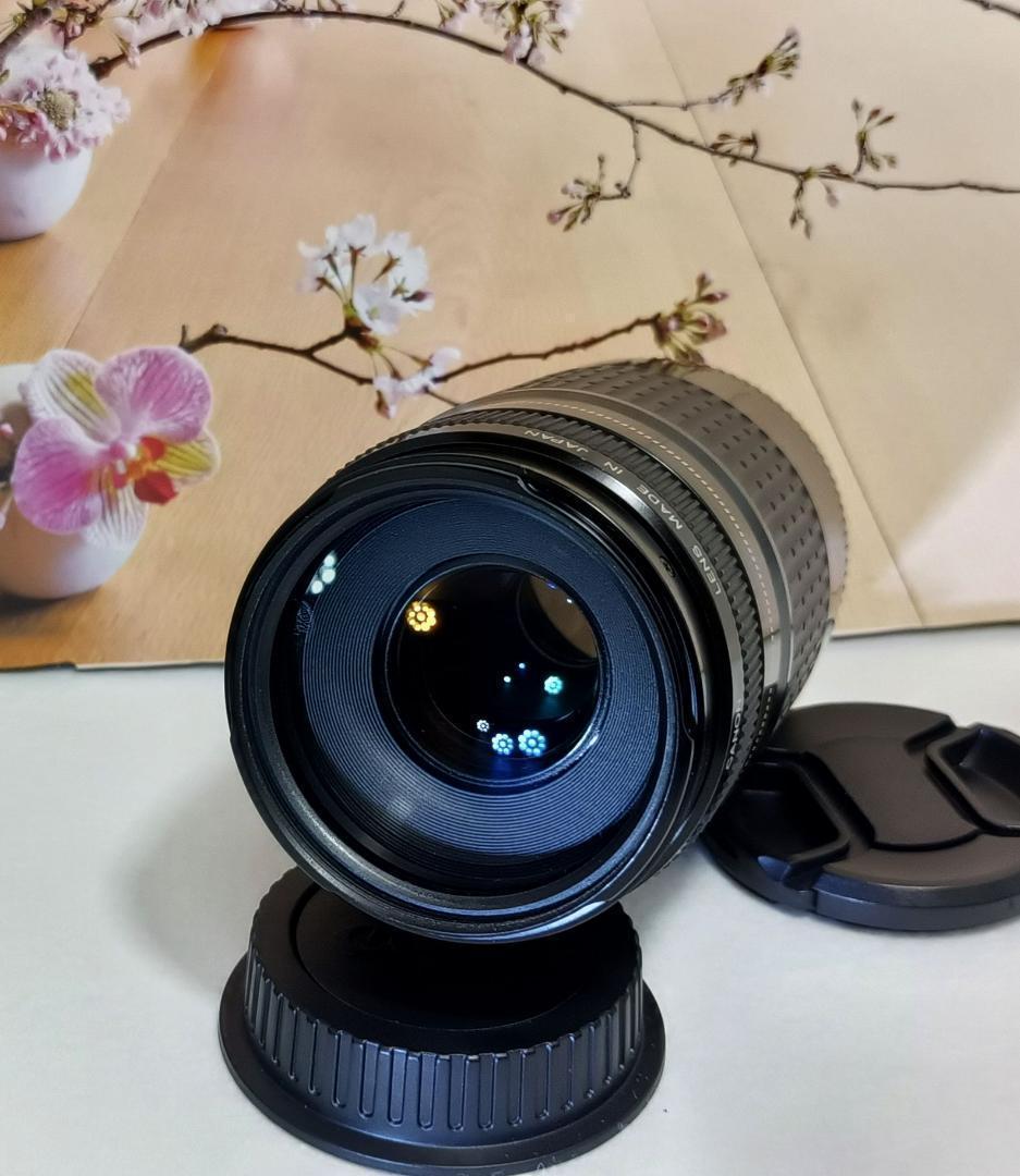 レンズが残す絆！Canon キヤノン 望遠レンズ EF75-300mm #5