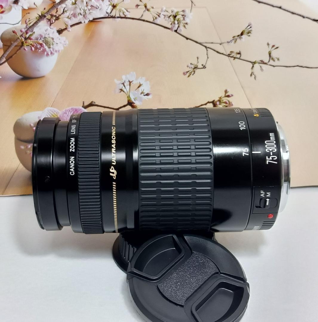 レンズが残す絆！Canon キヤノン 望遠レンズ EF75-300mm #5