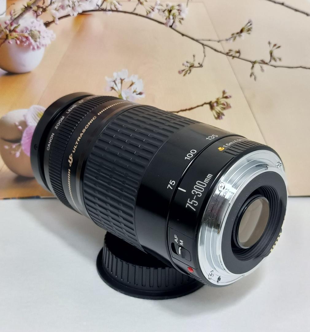 レンズが残す絆！Canon キヤノン 望遠レンズ EF75-300mm #5