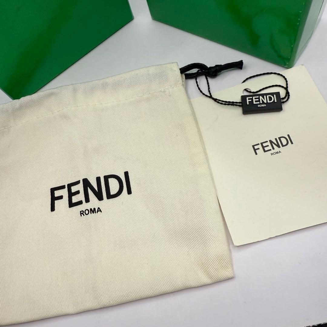 【美品✨】FENDI ROMA ズッカ柄 ケース 現行 付属品付き