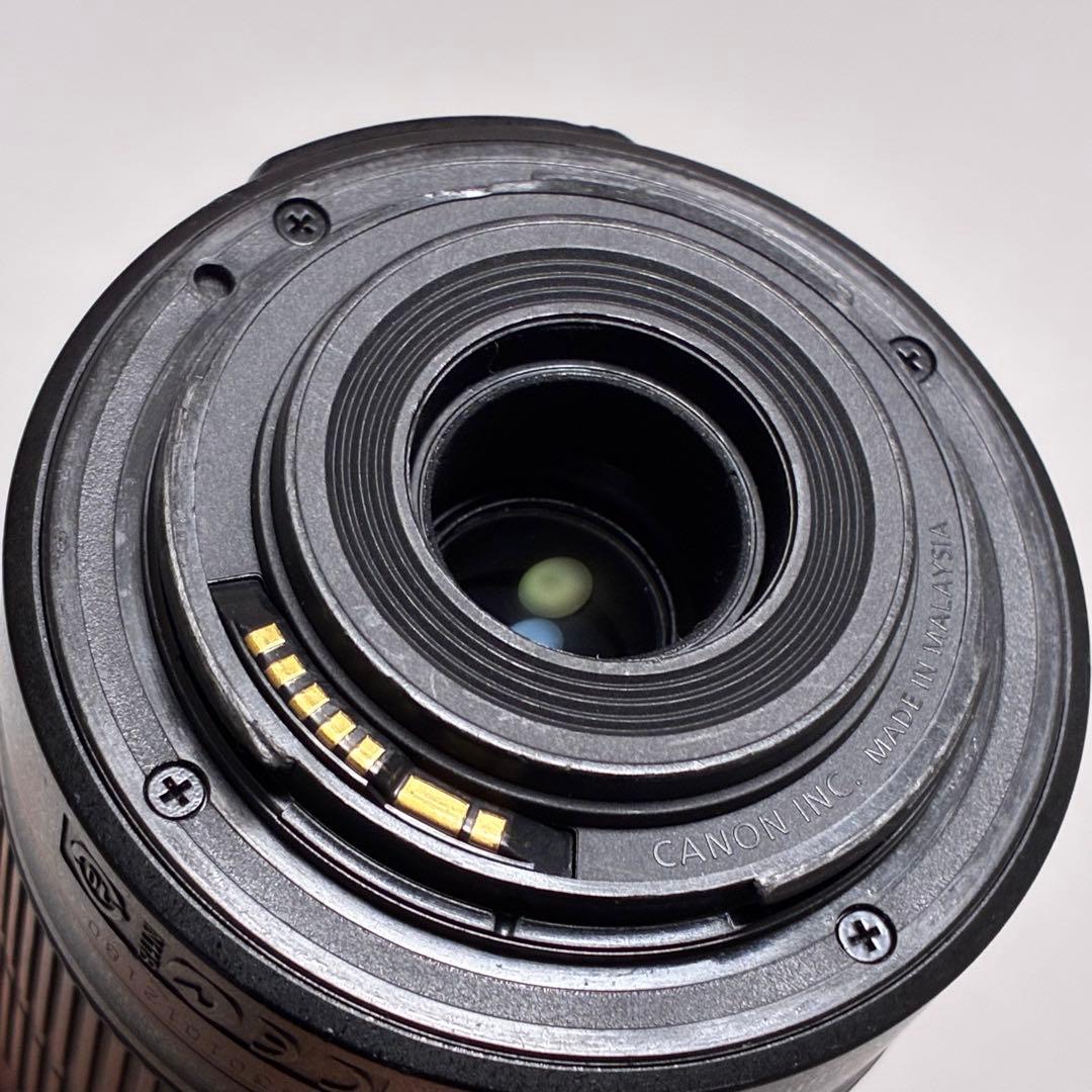 ⭐️完動⭐️ Canon EF-S 55-250mm IS II フード付望遠レンズ