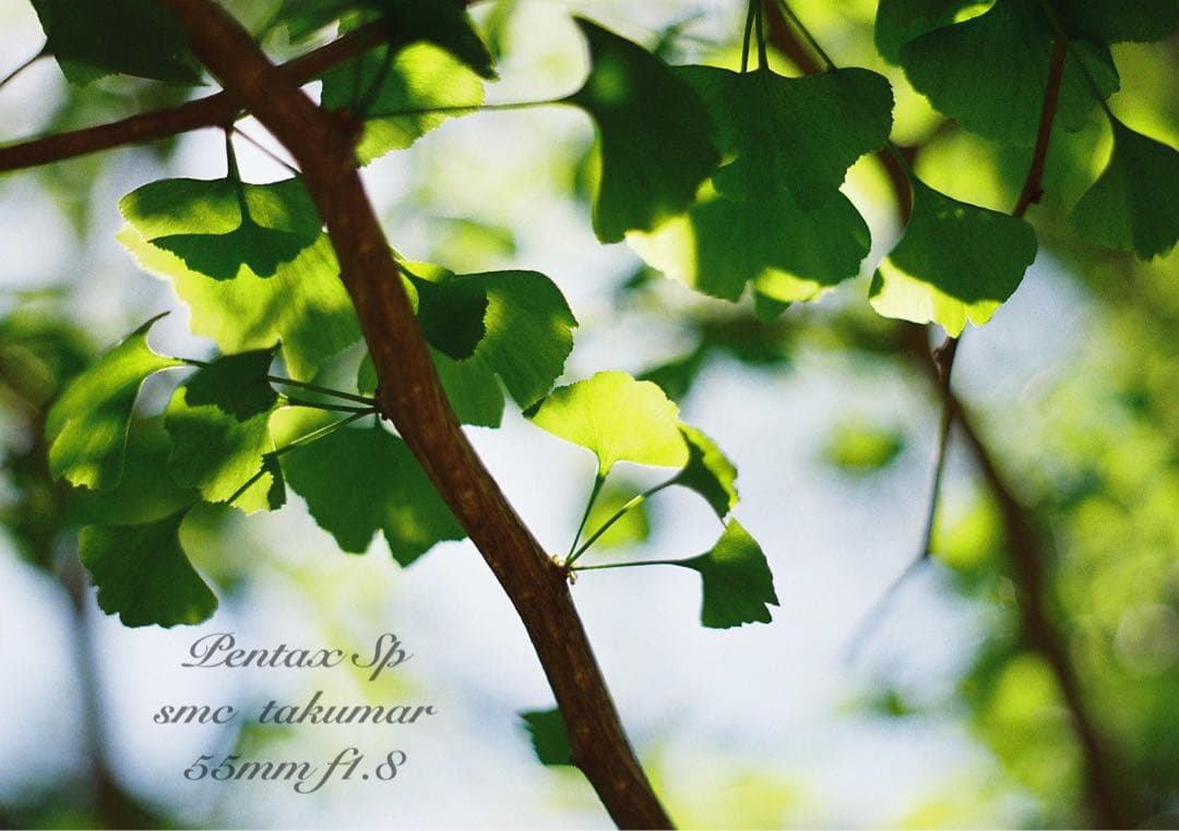 pentax sp 黒　フルセット★完動品＊美品＊初期保証付！★作例多数