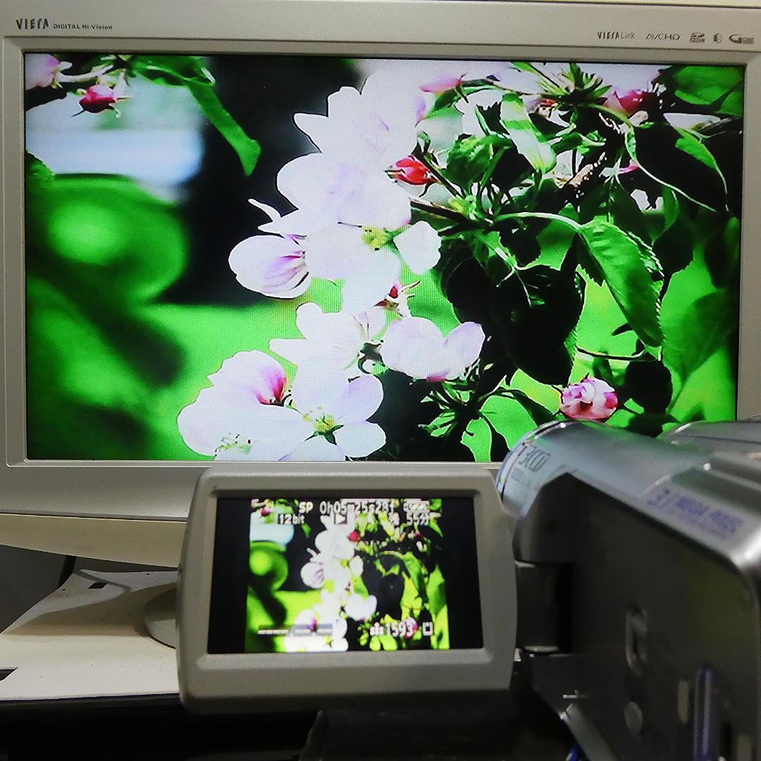 動作良好 パナソニックNV-GS300 MiniDVビデオ　デジタルダビングに