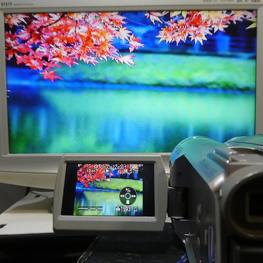 動作良好 パナソニックNV-GS300 MiniDVビデオ　デジタルダビングに