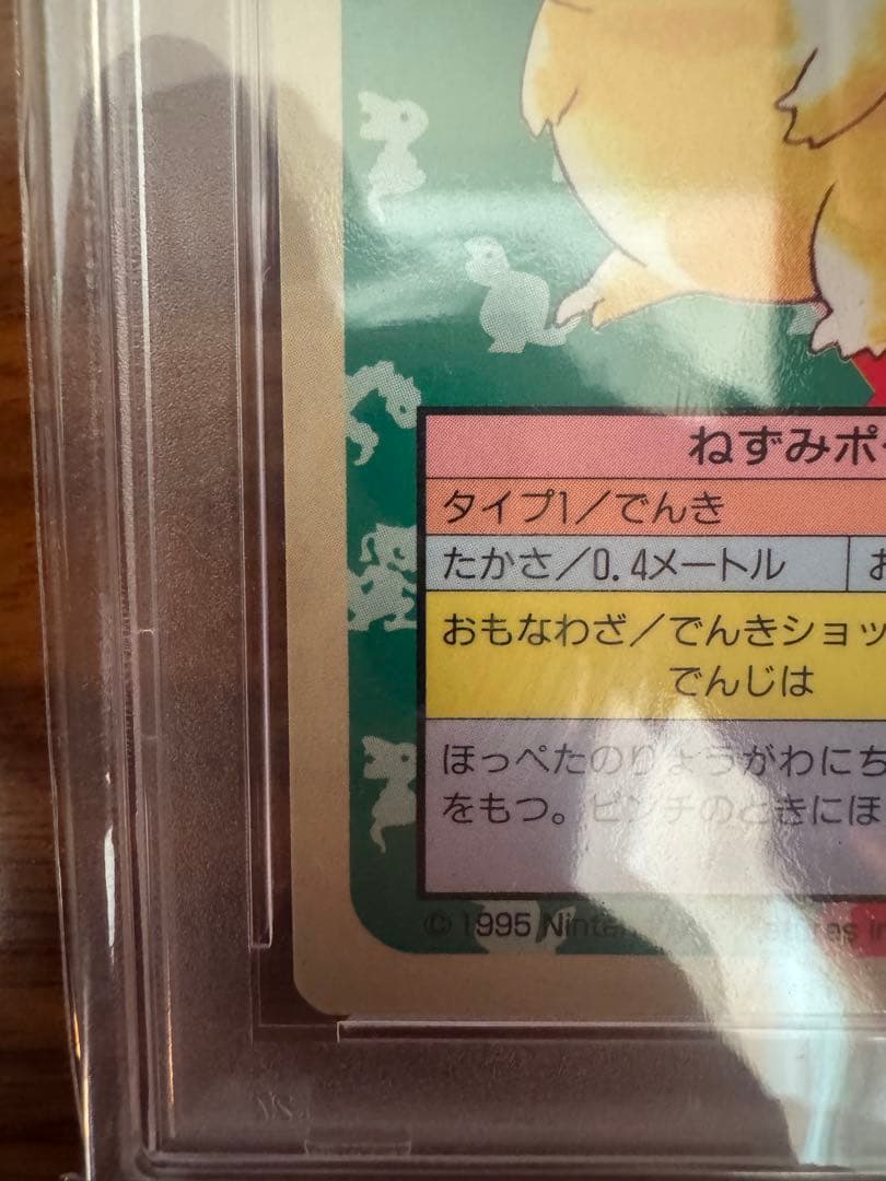 ポケモンカード トップサン ピカチュウ 裏青