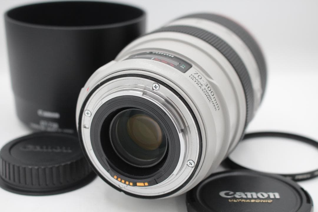 Canon EF 70-300mm F4-5.6L IS USM◆0198