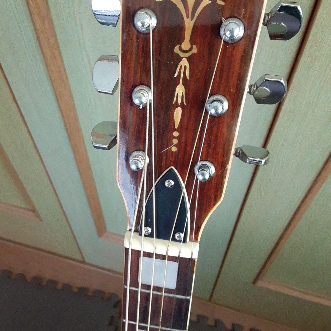 Kansas アコースティックギターw250スリーピース