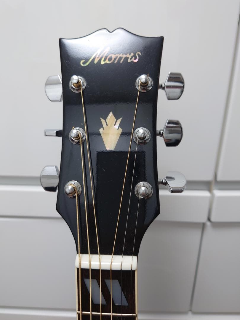 モーリス ギター Morris WD-25 ハミングバード