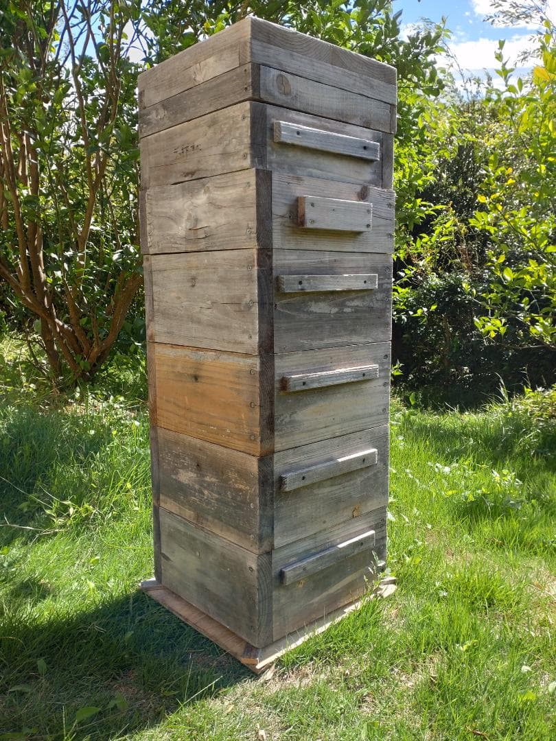 日本蜜蜂重箱式巣箱（自然入居＆営巣実績有・中古）6段・すのこ/底板/蓋/蜜蝋つき