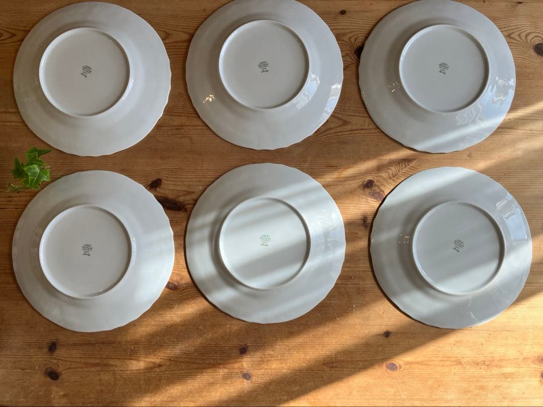 ジノリ　ベッキオホワイト26.5ディナープレート×6