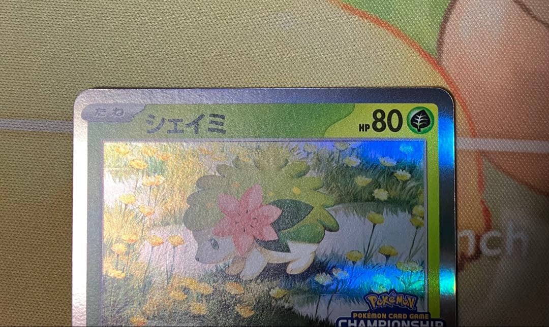 ロケット団のミュウツーex シェイミ　セット　CL2026 プロモ