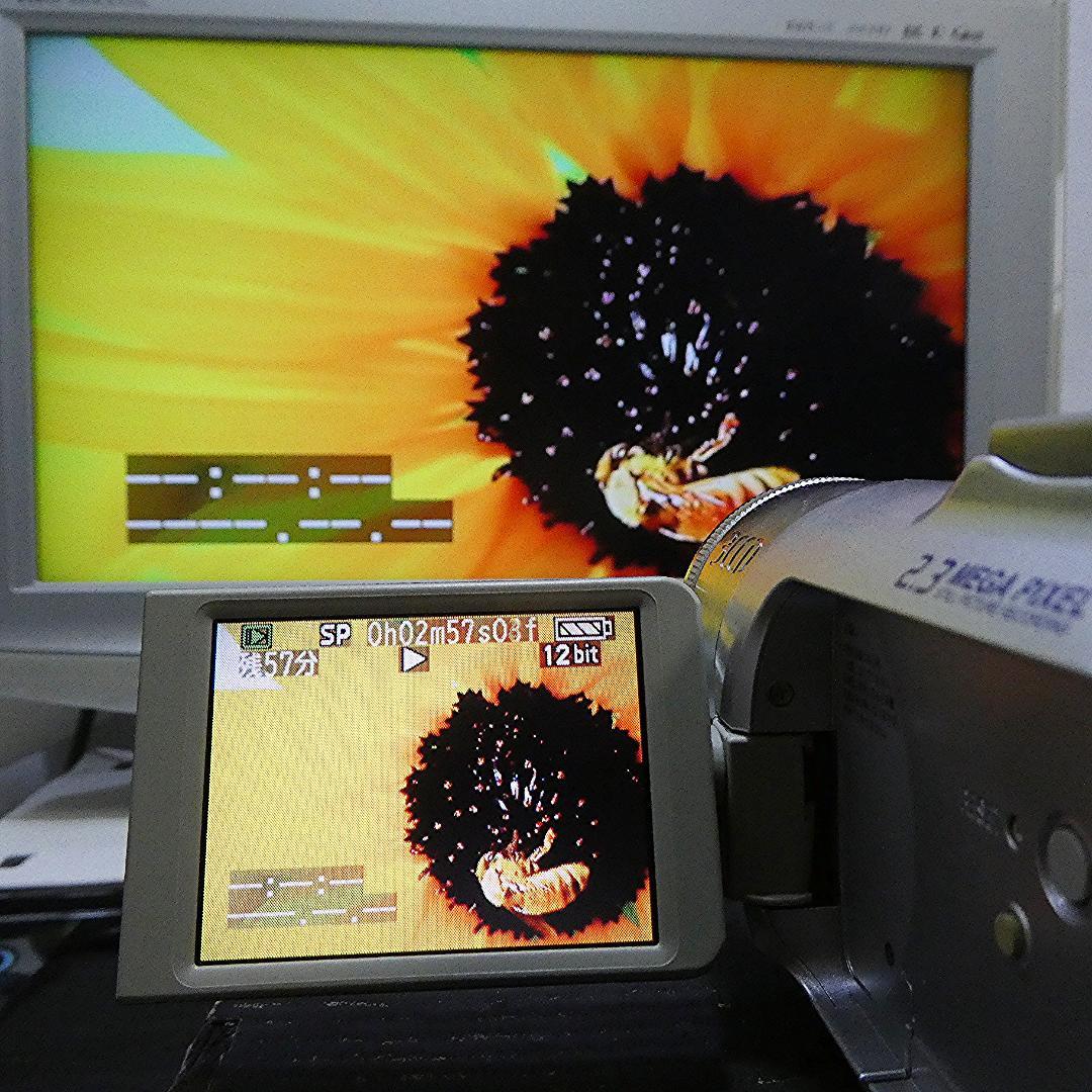美品・動作良好 パナソニックNV-GS150 MiniDVビデオ DVD化に最適