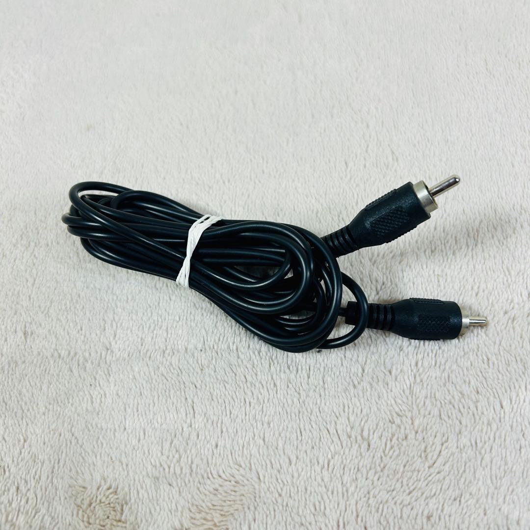 Pioneer S-51W パワードサブウーファー ブラック RCAケーブル付き