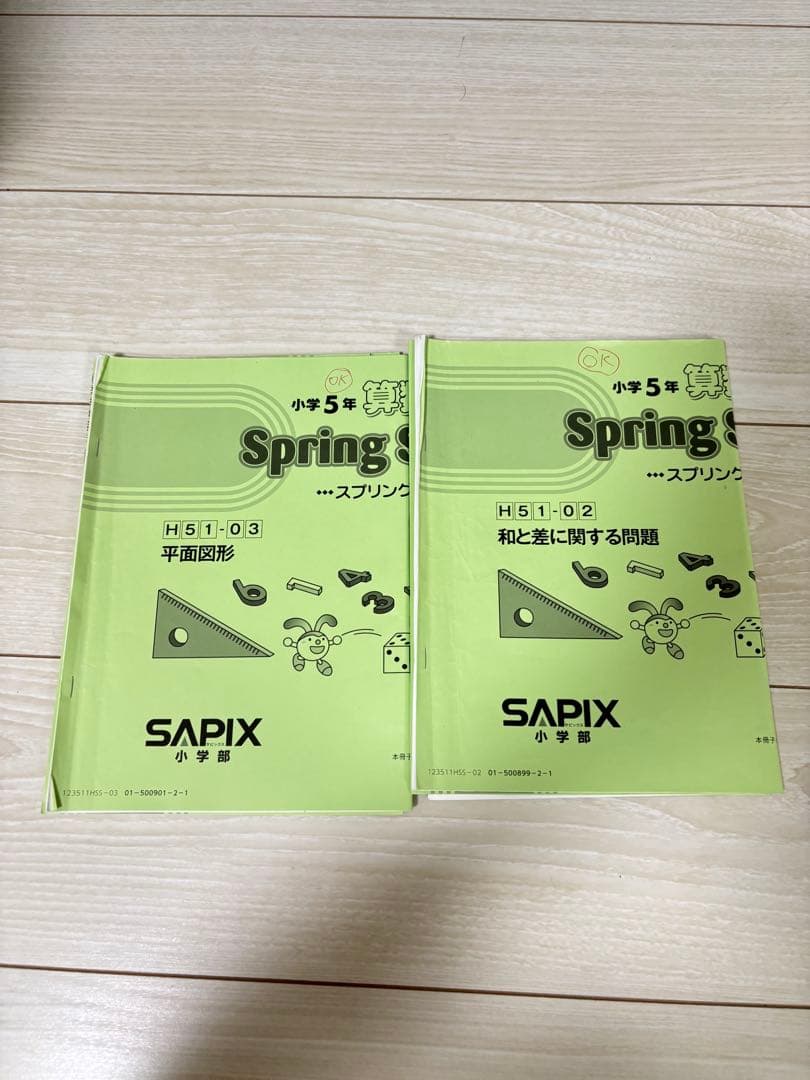 Sapix 五年　算数　フルセット