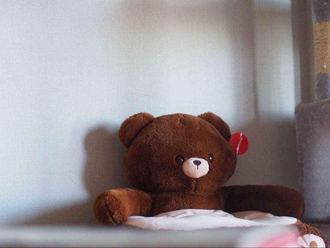 【デジタルカメラ】OLYMPUS OM-D E-M10 Mark II