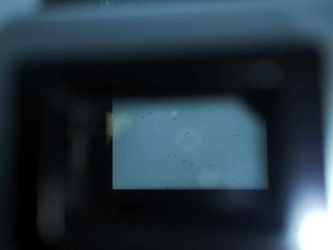 Canon AE-1 PROGRAM ボディ 難あり 現状品 ジャンク