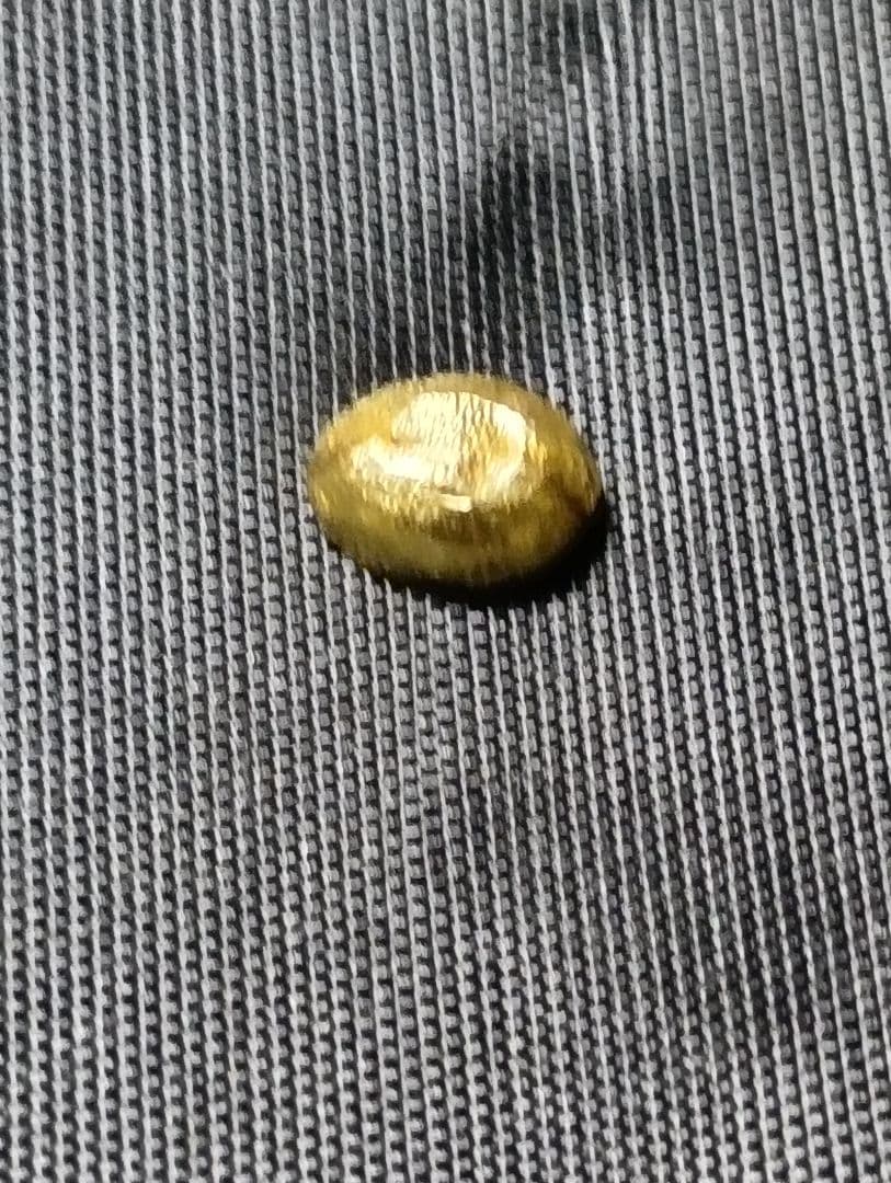 STOP LIGHT ストップライト（ 金目のみ）