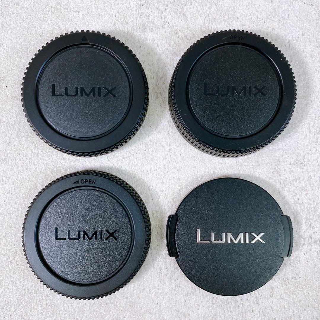 Panasonic パナソニック LUMIX GF2 ダブルレンズセット