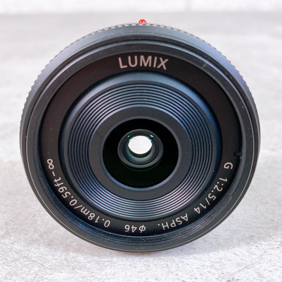 Panasonic パナソニック LUMIX GF2 ダブルレンズセット