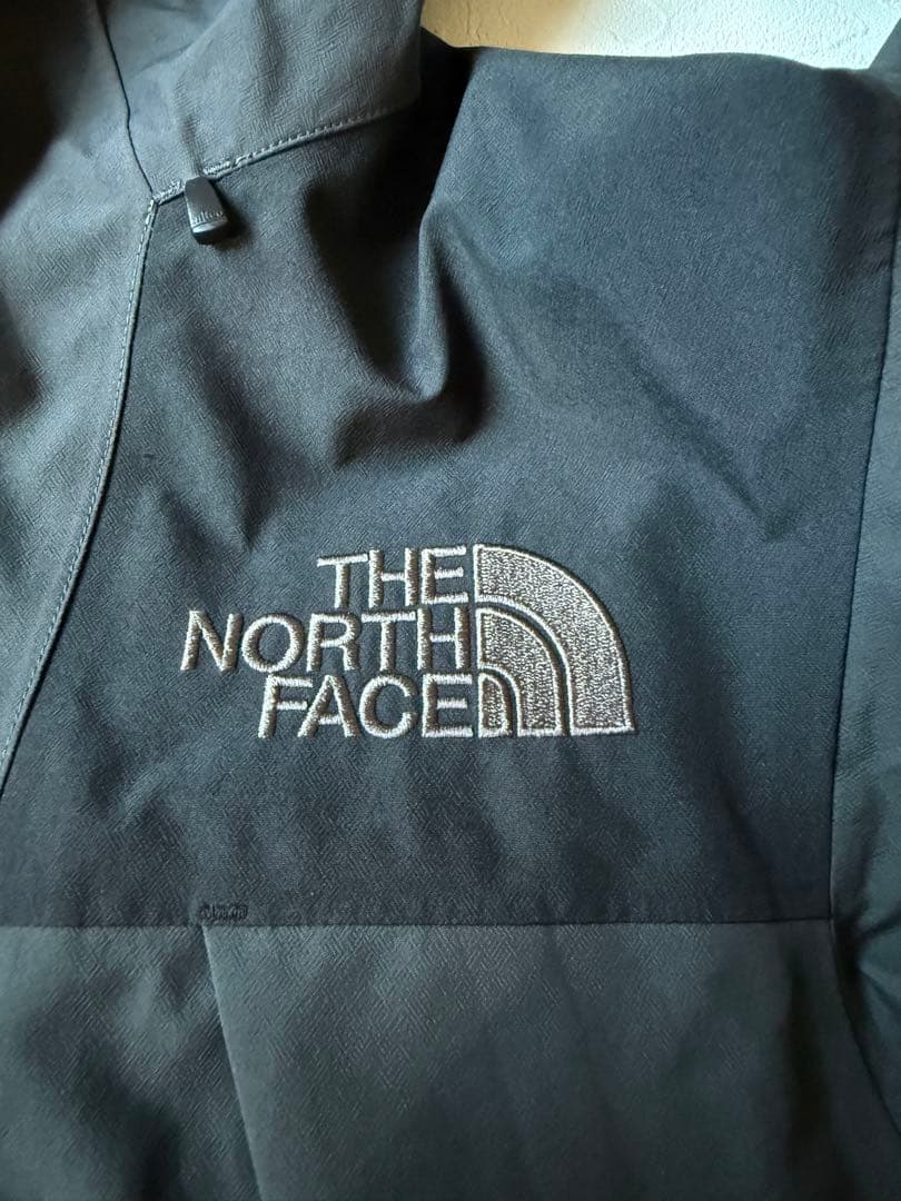 THE NORTH FACE マウンテンジャケット 限定モデル　メンズMサイズ
