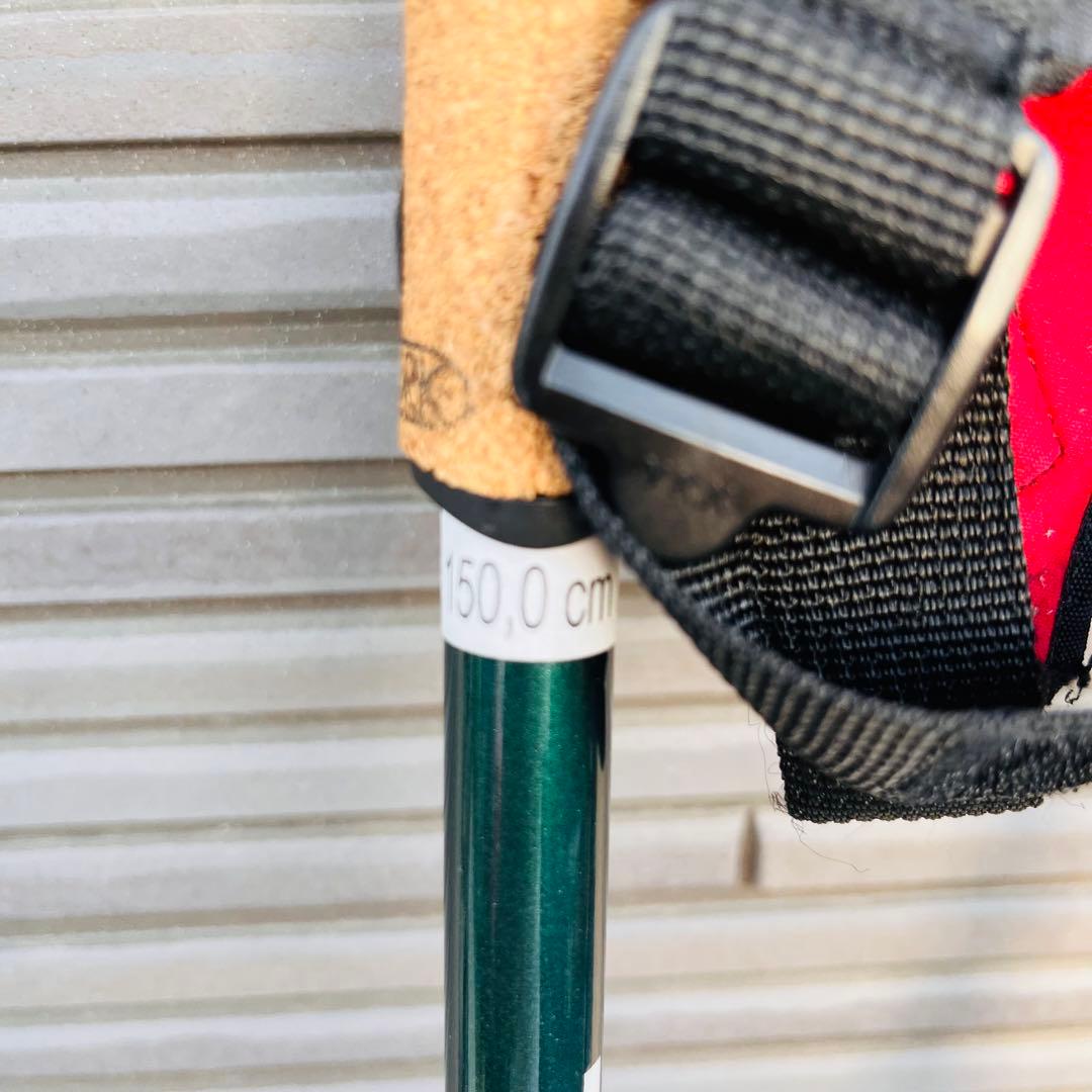 FISCHER クロスカントリースキー　＋　SWIXポール セット