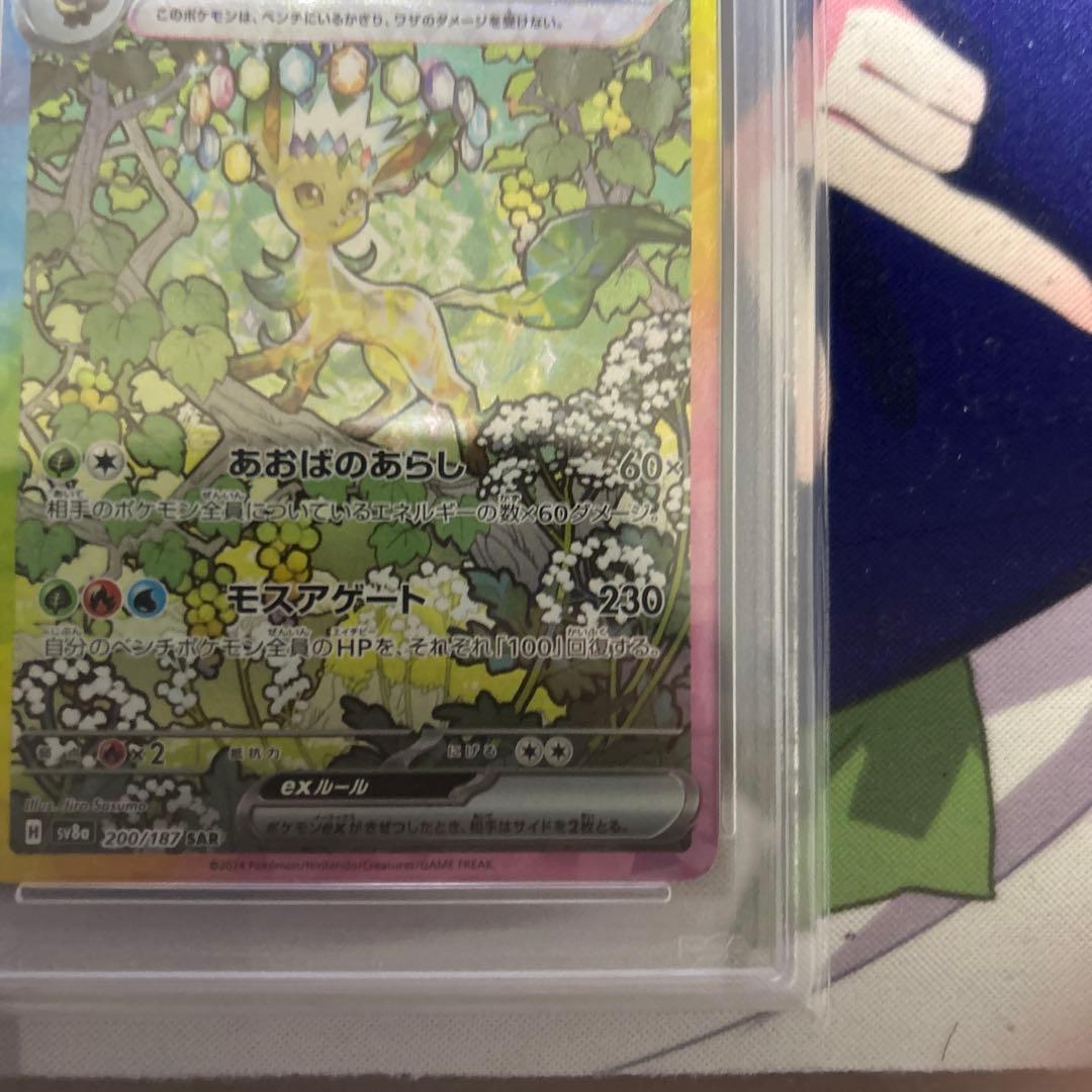 リーフィアex SARテラスタルフェスex 200/187psa10 50