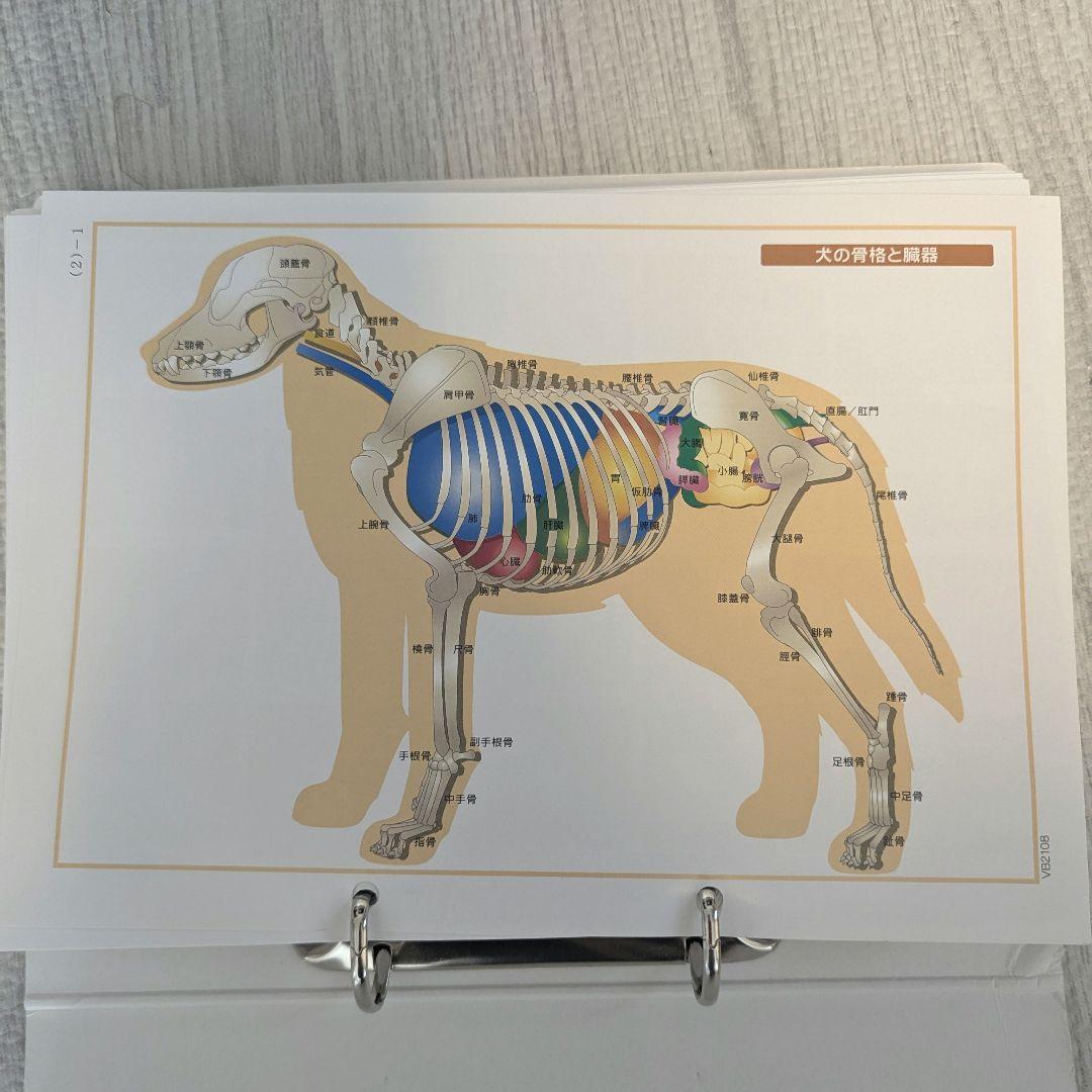 ドッグトレーナープロフェッショナル講座　ヒューマンアカデミー　テキスト DVD