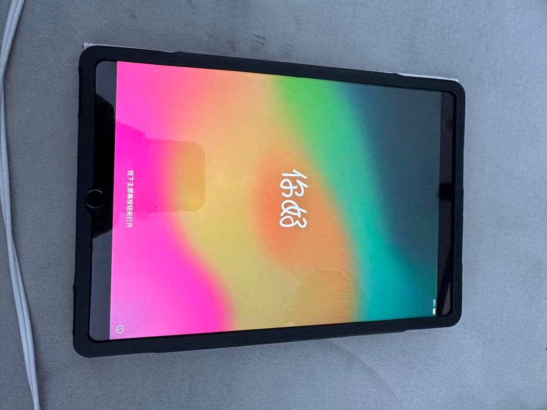 Apple iPad Pro (10.5インチ) 64G 本体　美品