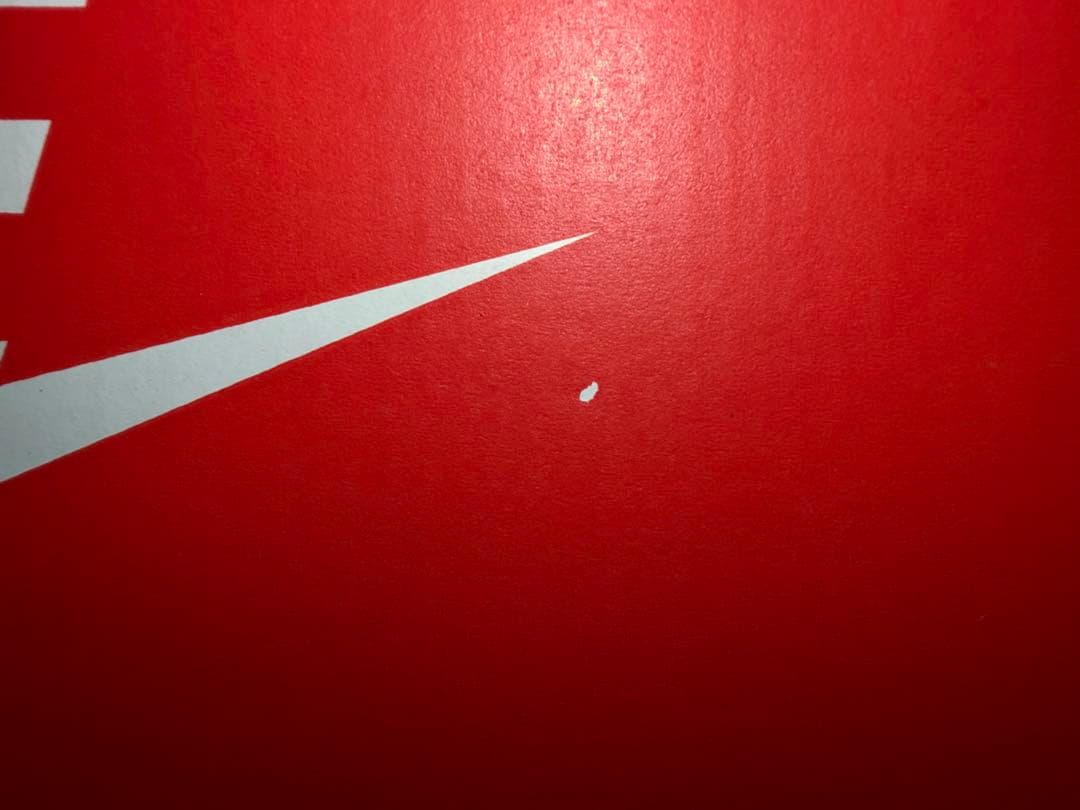 靴 Nike AirMax95 OG CoolGrey/BlueSpark