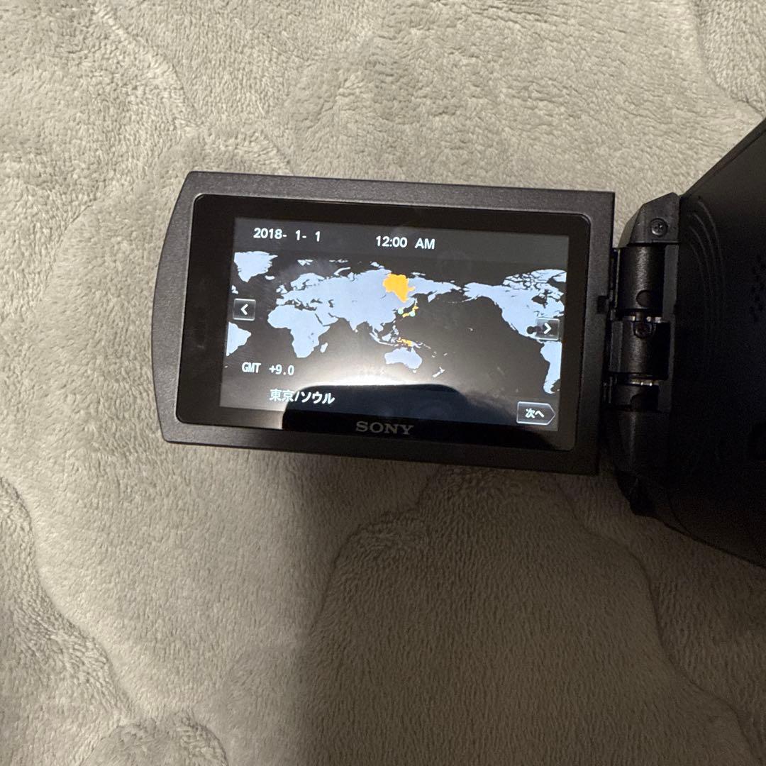 SONY FDR-AX60 4K ハンディカム ソニー ビデオカメラ 専用ケース