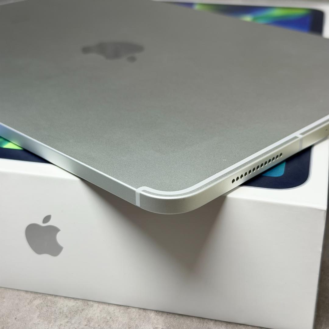 11インチ iPad Pro 第2世代 Wi-Fi+Cellular 256GB