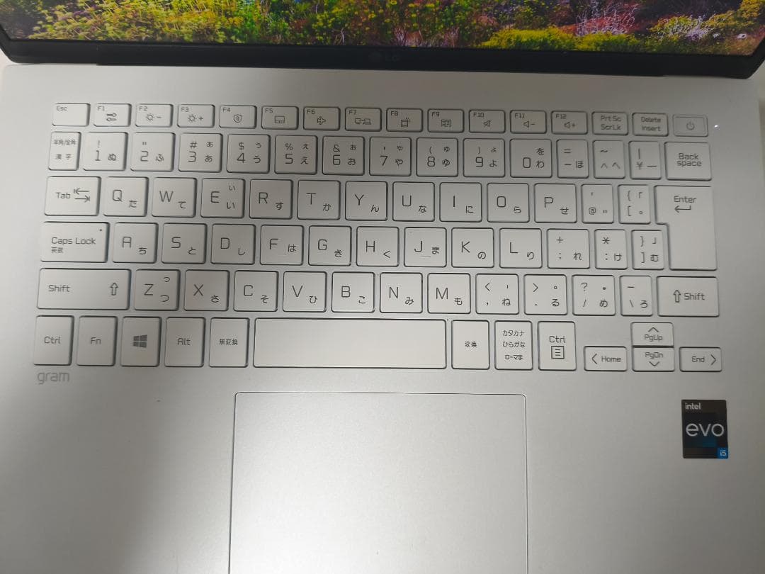 LG gram 14 第13世代 i5 8GB SSD512GB Office