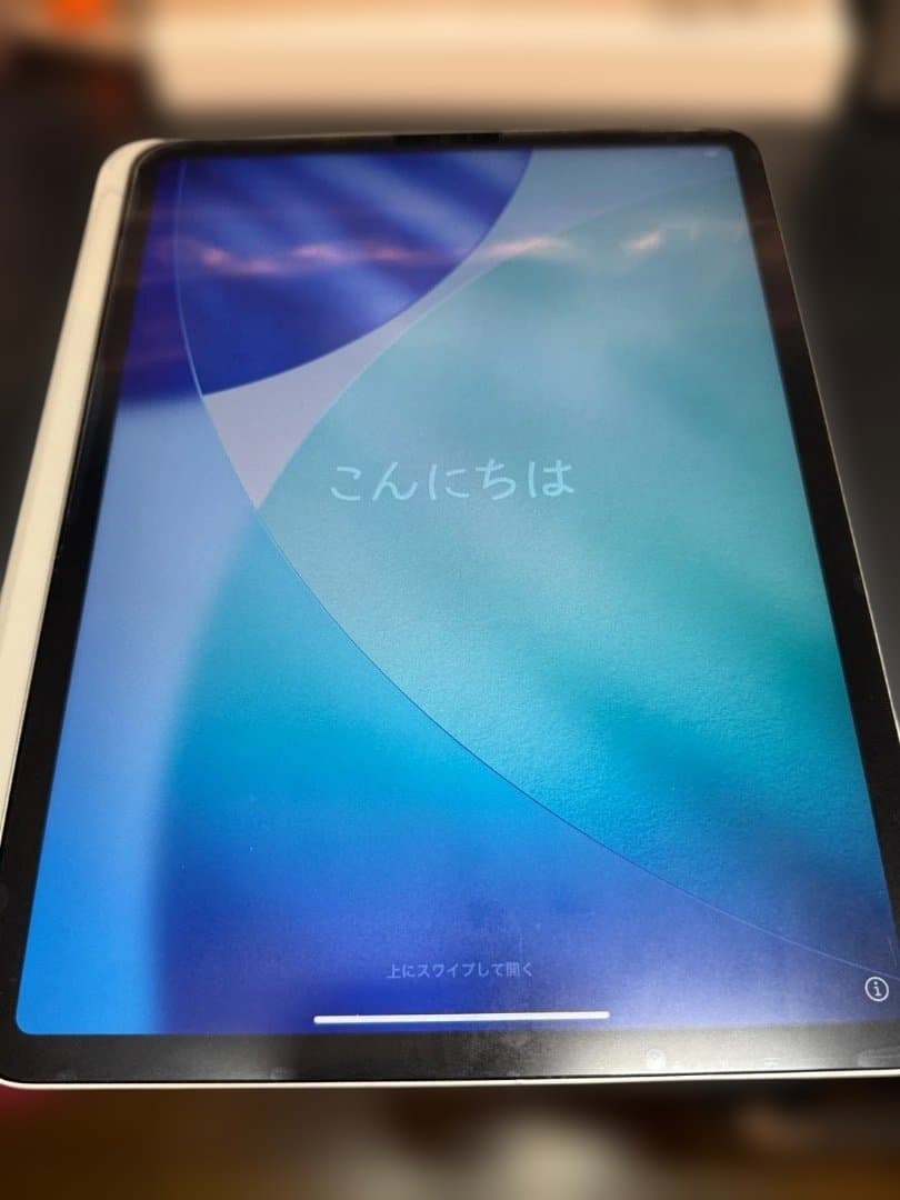 iPad Pro 本体 ApplePencil2 ケース2個付