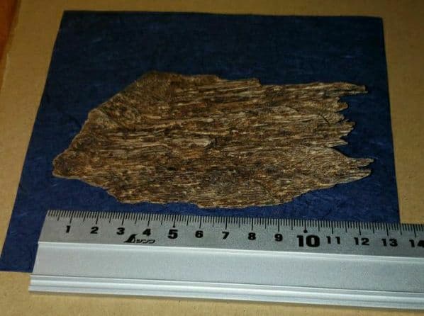 沈香、伽羅、六国五味、聞香、香木「ベトナム・フエ産 特上14,1」15