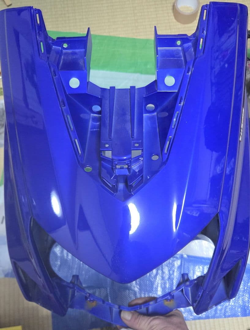 ピー助　プロフ読んで❗️