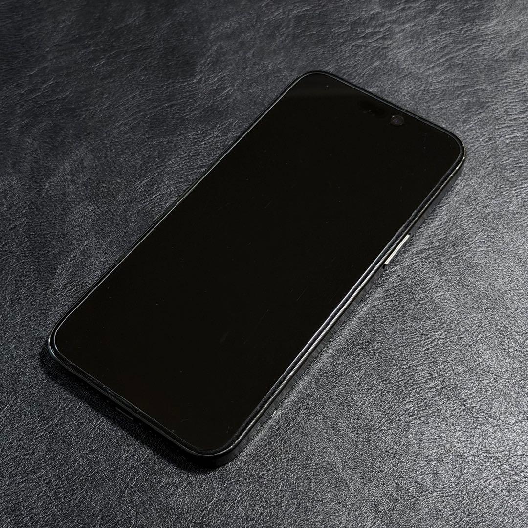 iPhone 15 Pro Max 256GB (背面ひび割れ) 本体