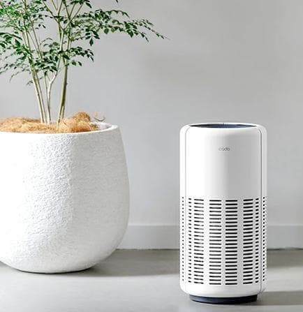 cado カドー　空気清浄機　LEAF250 ホワイト 除菌 消臭 メンテナンス