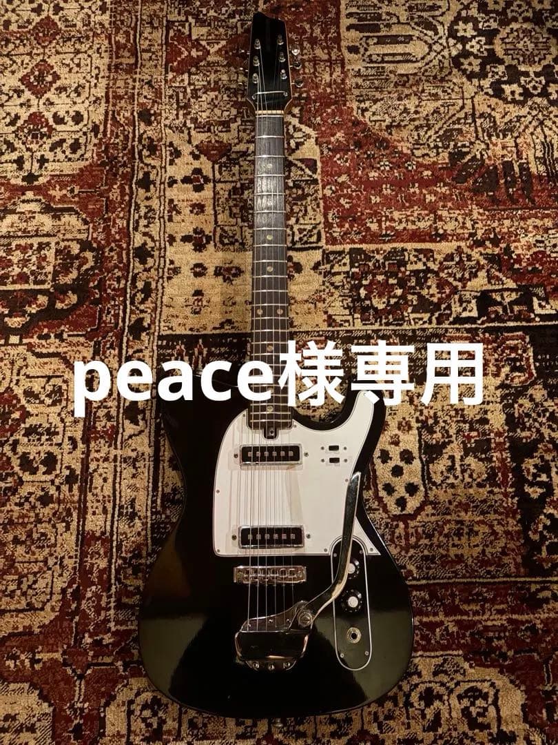 TEISCO S-2 ビザール　ギター