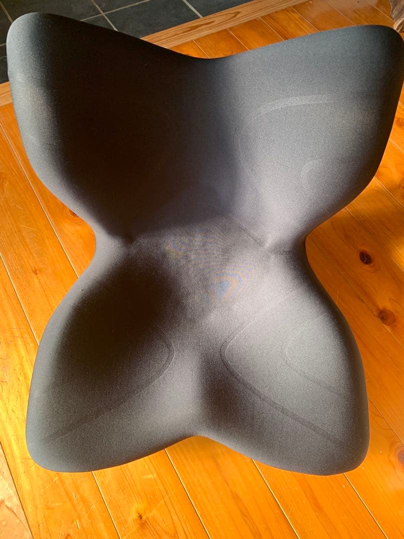 Style PREMIUM 骨盤・姿勢矯正クッション ブラック