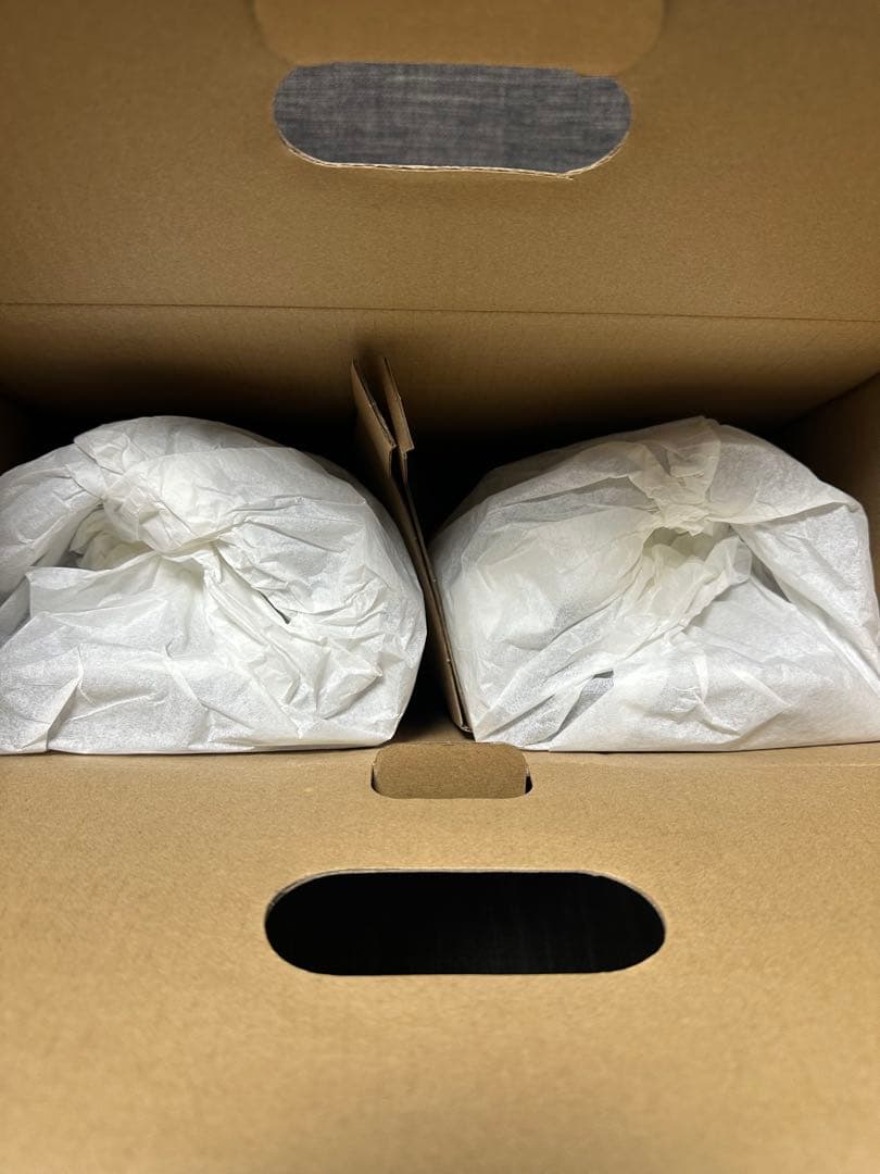 SALOMON RHYTHM Grape Shake L 新品