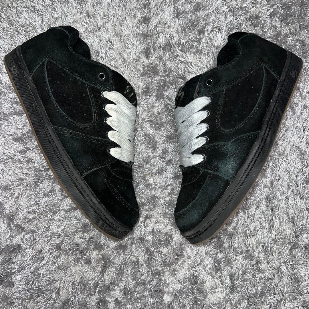 靴 es ACCEL OG fat lace custom sk8 US 9.5