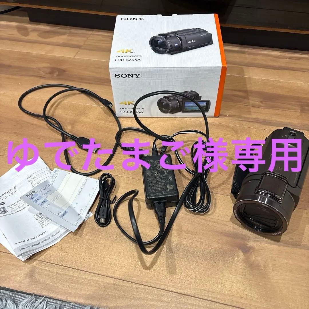 SONY FDR-AX45 4Kビデオカメラ