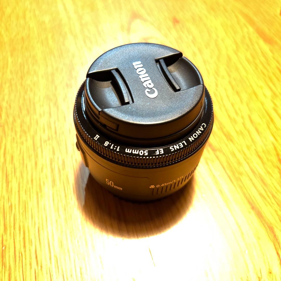 CanonEOS6Dデジタル一眼レフ・LENS EF24-105mm・ 50mm