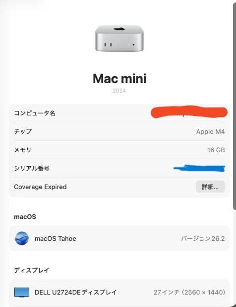 Apple mac mini M4 RAM16G SSD256G 美品