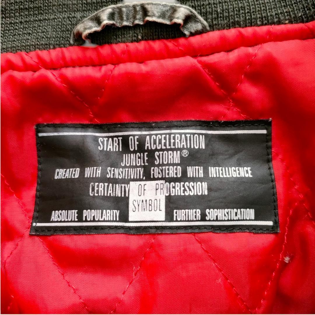 start of acceleration ジャングルストーム スカジャン