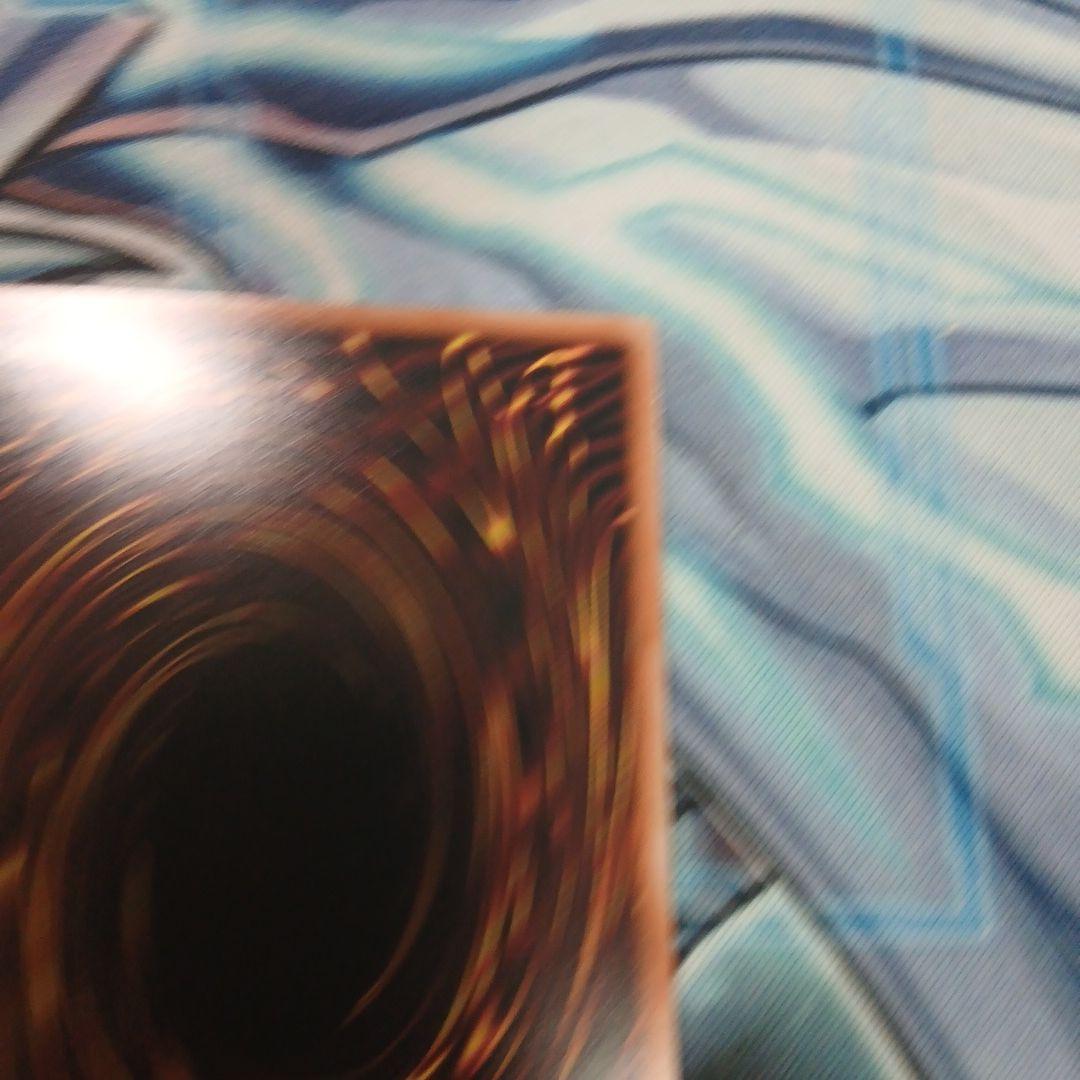 花弁一輪ドウシン・カイカ シークレット 2枚セット