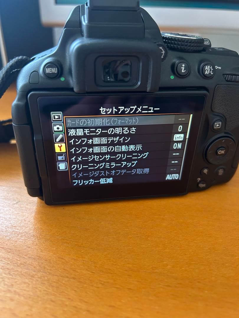 【美品】Nikon D5300 デジタル一眼レフカメラ　ソフトケース付き