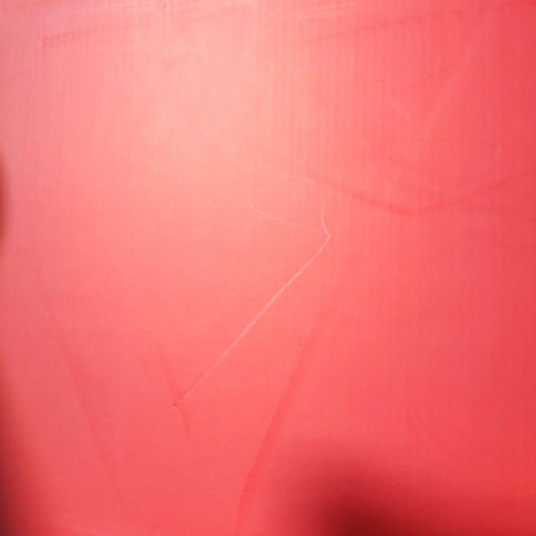 未使用品！ブルーノ　コンパクトホットプレート　オプショナルポット　マルシェバッグ