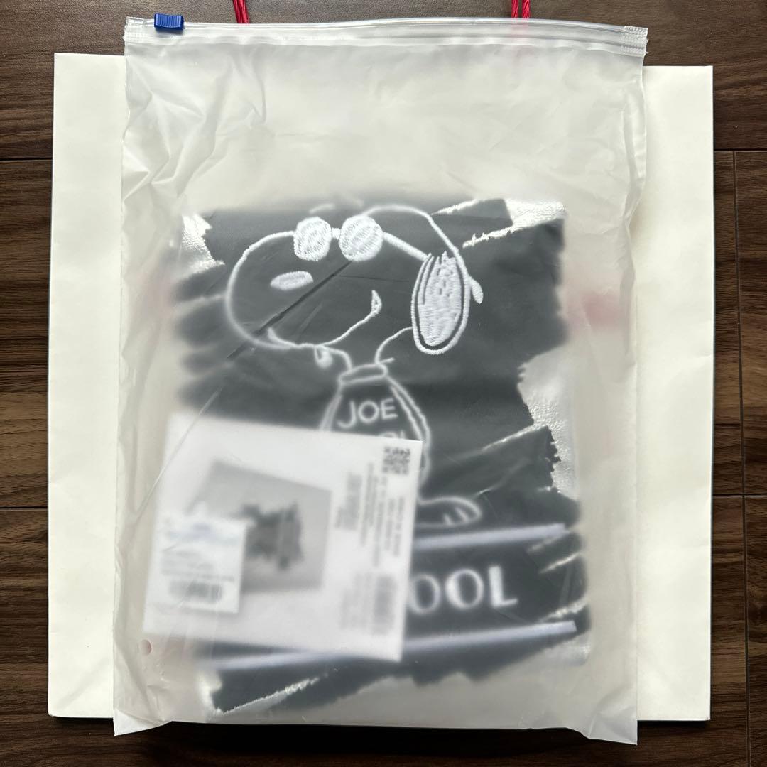 ボールアンドチェーン　ピーナッツ　スヌーピー　シルバー　名古屋限定