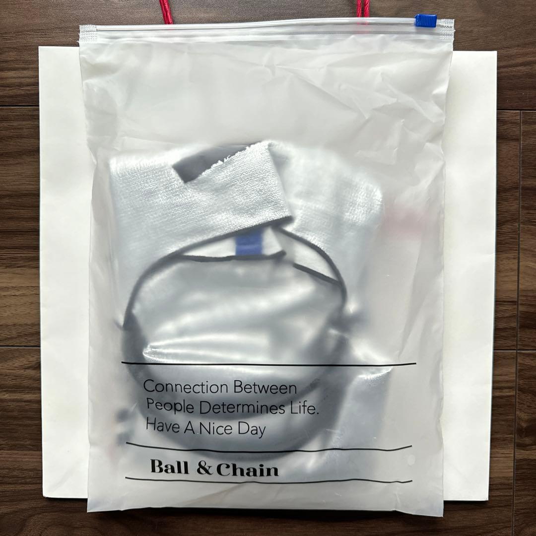 ボールアンドチェーン　ピーナッツ　スヌーピー　シルバー　名古屋限定